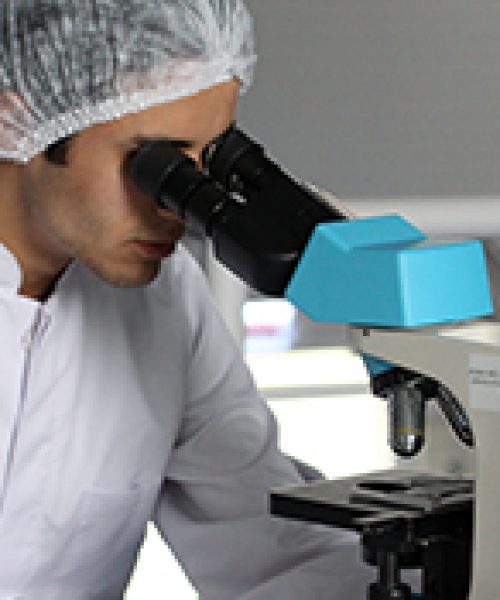 adult-biology-chemical-356040-1.jpg